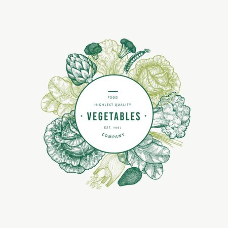 Green vegetable design template. Hand drawn vector food illustration. Engraved style vegetable frame. Vintage botanical banner.の写真素材