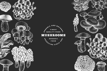 Mushrooms design template. Vector hand drawn illustrations on chalk board. Mushroom in vintage style. Autumn food background.のイラスト素材