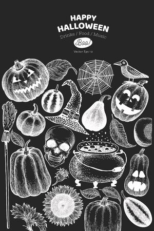 Halloween banner template. Vector hand drawn illustrations on chalk board. Design with pumpkins, scull, cauldron and sunflower vintage style. Autumn background.のイラスト素材