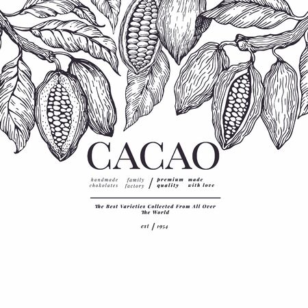 Cocoa banner template. Chocolate cocoa beans background. Vector hand drawn illustration. Retro style illustration.のイラスト素材