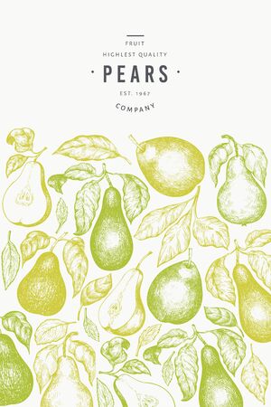 Pear design template. Hand drawn vector garden fruit illustration. Engraved style garden fruit frame. Vintage botanical banner.のイラスト素材