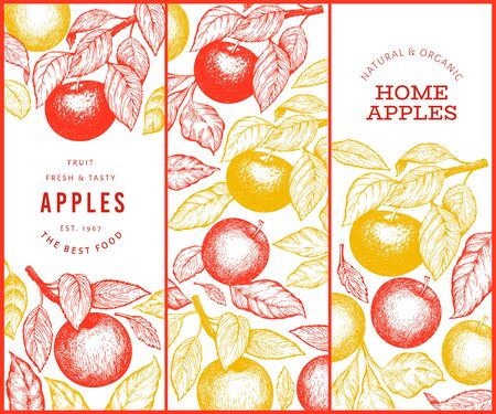 Apple branch design template. Hand drawn vector garden fruit illustration. Engraved style fruit vintage botanical banner.のイラスト素材