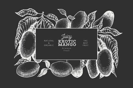 Mango design template. Hand drawn vector tropic fruit illustration on chalk board. Engraved style fruit. Retro exotic food banner.のイラスト素材