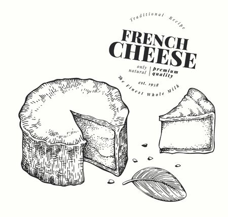 French cheese illustration. Hand drawn vector blue cheese illustration. Engraved style camembert. Retro brie cheese illustration.のイラスト素材