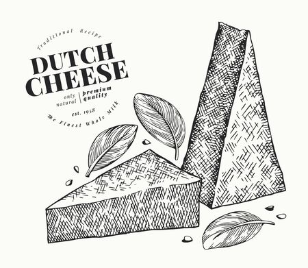 Dutch cheese illustration. Hand drawn vector dairy illustration. Engraved style gouda triangle slice cut. Retro food illustration.のイラスト素材