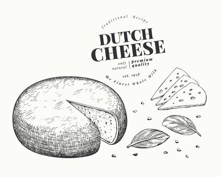 Dutch cheese illustration. Hand drawn vector dairy illustration. Engraved style gouda head. Retro food illustration.のイラスト素材