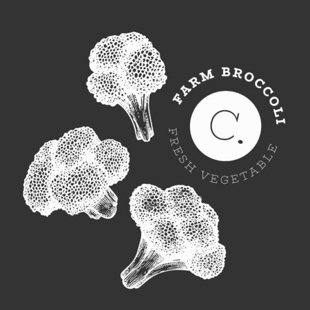 Hand drawn sketch style broccoli. Organic fresh food vector illustration on chalk board. Vintage vegetable cauliflower illustration. Engraved style botanical picture.のイラスト素材