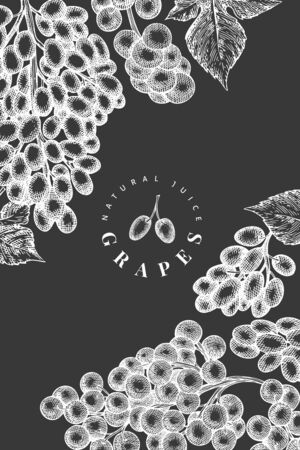 Grape design template. Hand drawn vector grape berry illustration on chalk board. Engraved style vintage botanical banner.のイラスト素材