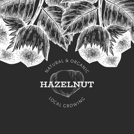Hand drawn sketch hazelnut design template. Organic food vector illustration on chalk board. Retro nut illustration. Engraved style botanical background.のイラスト素材