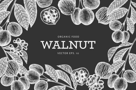 Hand drawn sketch walnut design template. Organic food vector illustration on chalk board. Retro nut illustration. Engraved style botanical background.のイラスト素材