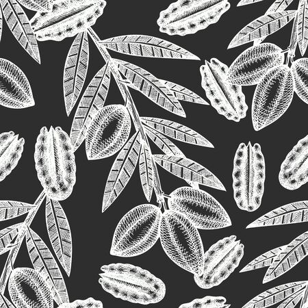 Hand drawn pecan branch and kernels seamless pattern. Organic food vector illustration on chalk board. Retro nut illustration. Engraved style botanical picture.のイラスト素材