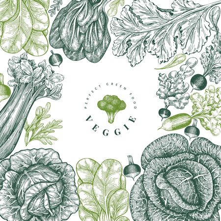 Hand drawn sketch vegetables design. Organic fresh food vector banner template. Retro vegetable background. Engraved style botanical illustrations.のイラスト素材