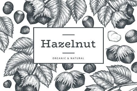 Hand drawn sketch hazelnut design template. Organic food vector illustration on white background. Vintage nut illustration. Engraved style botanical background.のイラスト素材