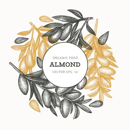 Hand drawn sketch almond design template. Organic food vector illustration. Retro nut illustration. Engraved style botanical background.のイラスト素材