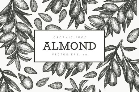 Hand drawn sketch almond design template. Organic food vector illustration. Retro nut illustration. Engraved style botanical background.のイラスト素材