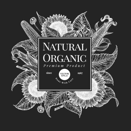 Hand drawn sunflower design template. Vector farm plants illustrations on chalk board. Retro natural backgroundのイラスト素材