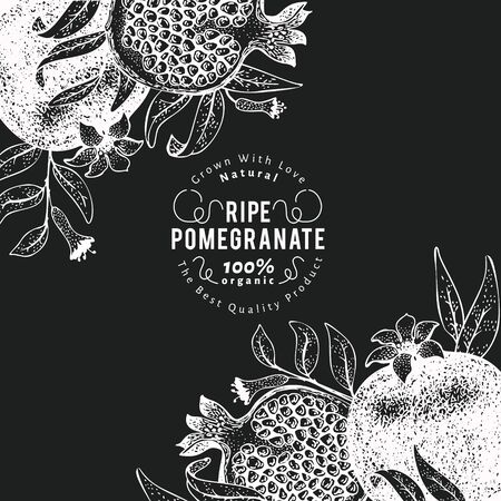 Pomegranate fruit design template. Hand drawn vector fruit illustration on chalk board. Retro botanical background.のイラスト素材