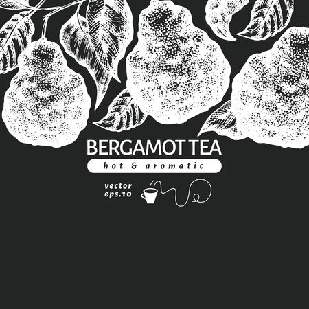 Bergamot branch design template. Kaffir lime frame. Hand drawn vector fruit illustration on chalk board. Engraved style retro citrus background.のイラスト素材