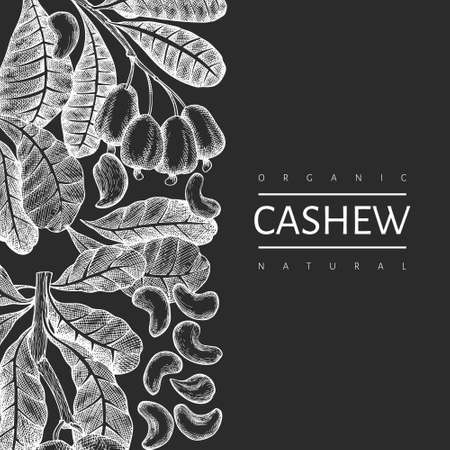 Hand drawn sketch cashew design template. Organic food vector illustration on chalk board. Vintage nut illustration. Engraved style botanical background.のイラスト素材