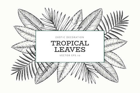 Tropical plants banner design. Hand drawn tropical summer exotic leaves illustration. Jungle leaves, palm leaves engraved style. Vintage background designのイラスト素材