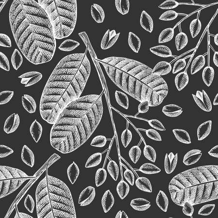 Hand drawn pistachio branch and kernels seamless pattern. Organic food  illustration on chalk board. Vintage nut illustration. Engraved style botanical background.のイラスト素材