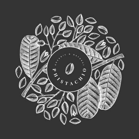 Hand drawn phistachio branch and kernels design template. Organic food vector illustration on chalk board. Vintage nut illustration. Engraved style botanical banner.のイラスト素材