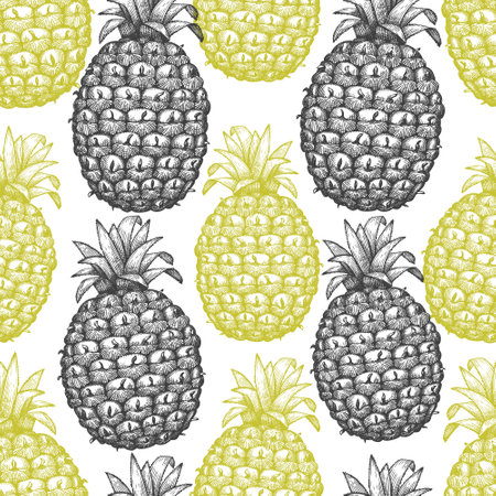 Hand drawn sketch style pineapple seamless pattern. Organic fresh fruit vector illustration on white background. Engraved style botanical design.のイラスト素材
