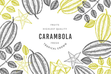 Hand drawn sketch style carambola banner. Organic fresh fruit vector illustration. Retro fruit design templateのイラスト素材