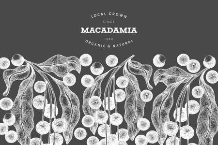 Hand drawn macadamia branch and kernels design template. Organic food vector illustration on chalk board. Vintage nut illustration. Engraved style botanical banner.のイラスト素材