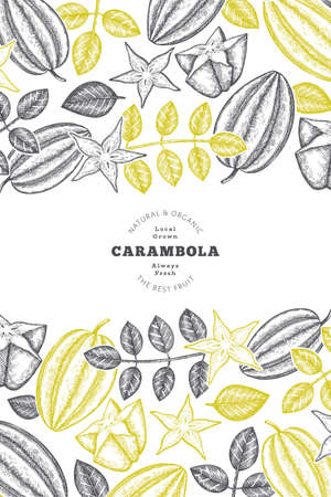 Hand drawn sketch style carambola banner. Organic fresh fruit vector illustration. Retro fruit design templateのイラスト素材