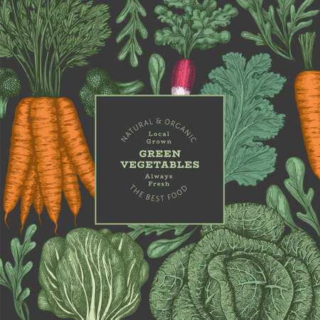 Hand drawn vintage color vegetables design. Organic fresh food vector banner template. Retro vegetable background. Traditional botanical illustrations on dark background.のイラスト素材