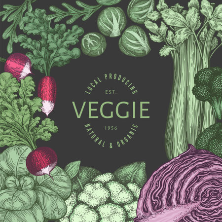 Hand drawn vintage color vegetables design. Organic fresh food vector banner template. Retro vegetable background. Traditional botanical illustrations on dark background.のイラスト素材