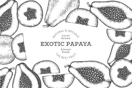 Hand drawn sketch style papaya banner. Organic fresh fruit vector illustration. Retro fruit design templateのイラスト素材