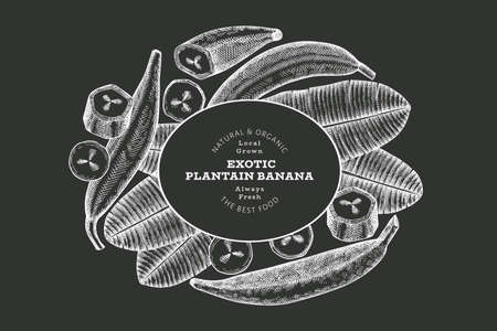 Hand drawn sketch style plantain banner. Organic fresh fruit vector illustration on chalk board. Retro exotic banana fruit design templateのイラスト素材