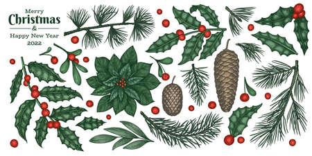 Christmas hand drawn vector plants. Vintage style botanical illustrations. Winter nature color plants xmas set.のイラスト素材
