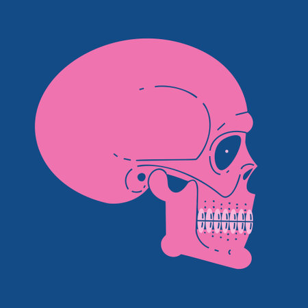 Human scull illustration. Vector skeleton illustration. Isolated halloween illustration. Jolly Roger logo.のイラスト素材