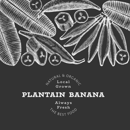 Hand drawn sketch style plantain banner. Organic fresh fruit vector illustration on chalk board. Retro exotic banana fruit design templateのイラスト素材