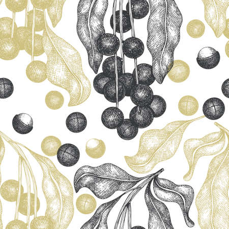 Hand drawn macadamia branch and kernels seamless pattern. Organic food vector illustration on white background. Retro nut illustration. Engraved style botanical background.のイラスト素材