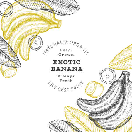 Hand drawn sketch style banana banner. Organic fresh fruit vector illustration. Retro exotic fruit design templateのイラスト素材