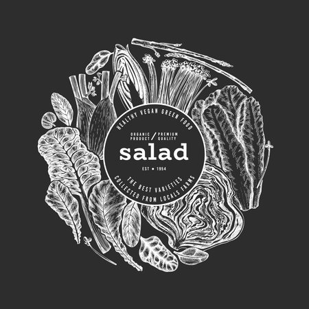 Green Vegetable Design Template. Vector Hand Drawn Healthy Leaf Salad Banner. Vintage Style Menu IllustrationOn Chalk Board.のイラスト素材