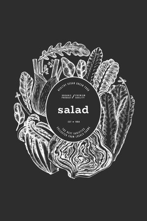 Green Vegetable Design Template. Vector Hand Drawn Healthy Leaf Salad Banner. Vintage Style Menu IllustrationOn Chalk Board.のイラスト素材
