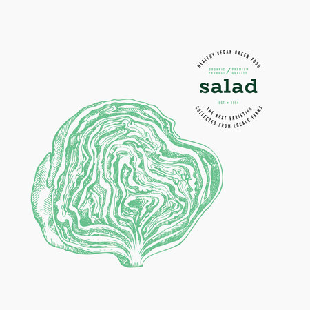 Vintage Style Lettuce Illustration. Green Iceberg Vegetable Illustration. Vector Hand Drawn Salad.のイラスト素材