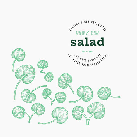 Vintage Style Watercress Illustration. Green Vegetable Illustration. Vector Hand Drawn Salad.のイラスト素材