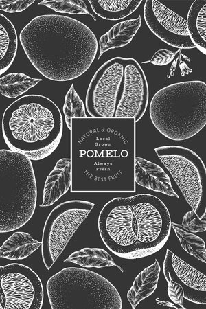 Hand drawn sketch style pomelo banner. Organic fresh fruit vector illustration on chalk board. Retro fruit design templateのイラスト素材