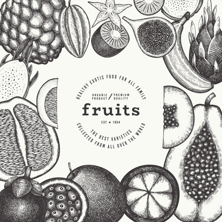 Tropical Fruit Design Template. Vector Hand Drawn Exotic Fruit Banner. Vintage Style Menu Illustration.のイラスト素材