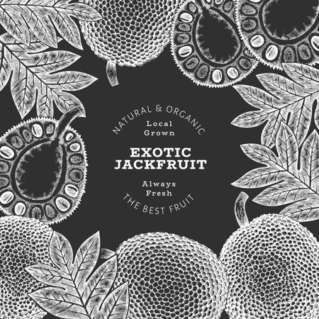 Hand drawn sketch style jackfruit banner. Organic fresh fruit vector illustration on chalk board. Retro breadfruit design templateのイラスト素材