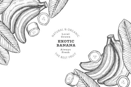 Hand drawn sketch style banana banner. Organic fresh fruit vector illustration. Retro exotic fruit design templateのイラスト素材