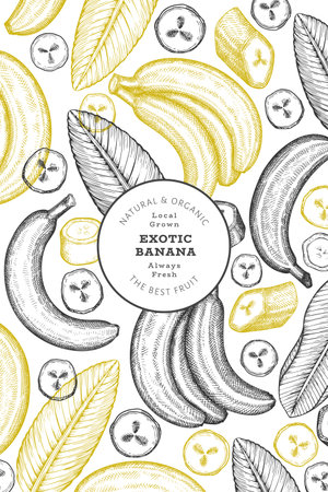 Hand drawn sketch style banana banner. Organic fresh fruit vector illustration. Retro exotic fruit design templateのイラスト素材