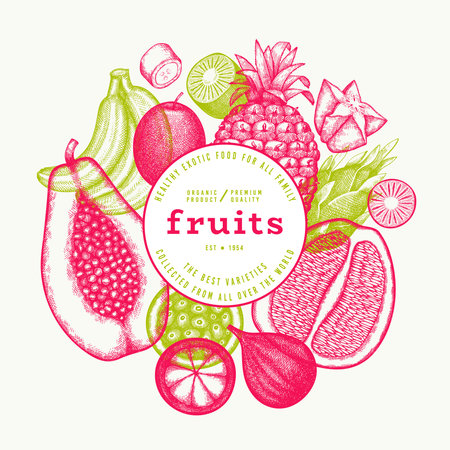 Tropical Fruit Design Template. Vector Hand Drawn Exotic Fruit Banner. Vintage Style Menu Illustration.のイラスト素材
