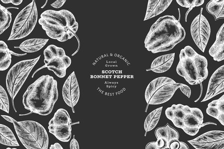 Hand drawn sketch style scotch bonnet pepper banner. Organic fresh vegetable vector illustration on chalk board. Retro cayenne pepper design templateのイラスト素材